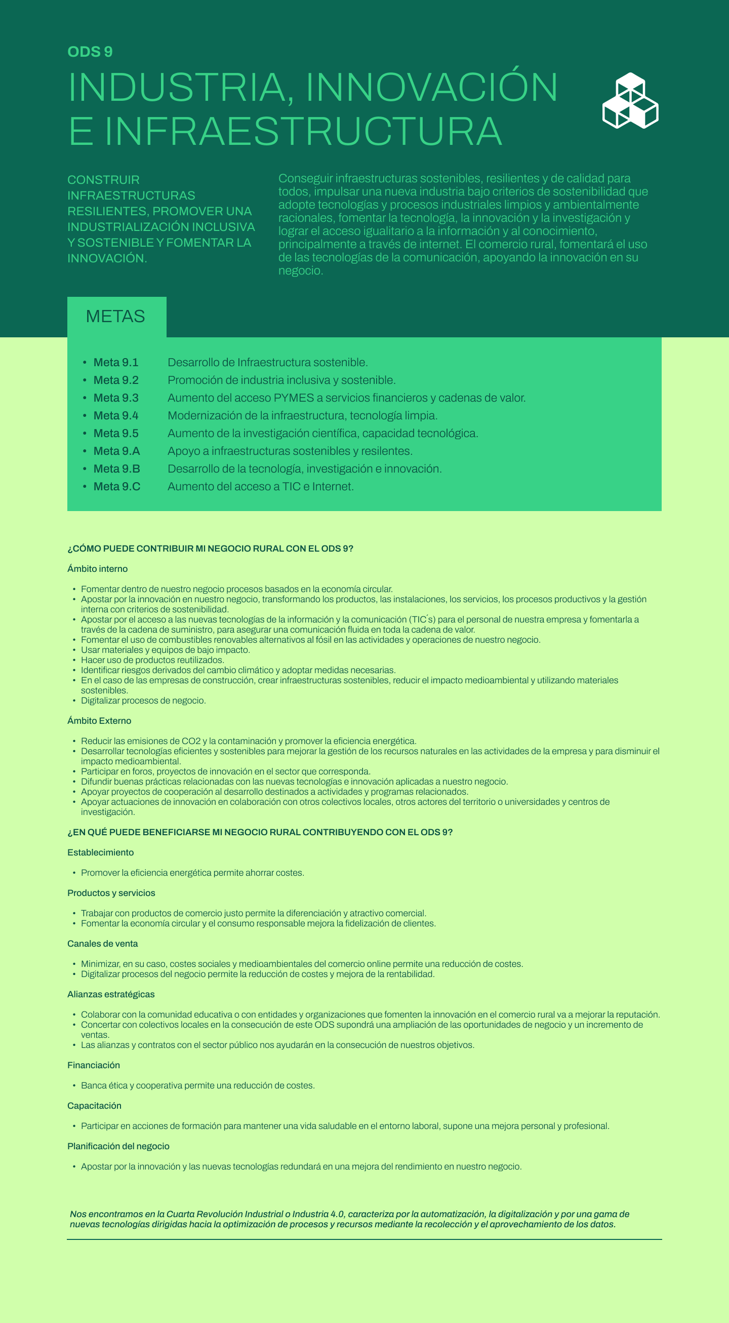 Ficha ODS 9